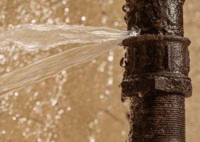 When We Find Our Human Connections