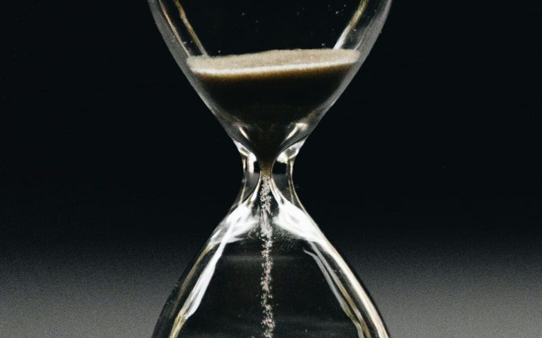 What I Did This Summer